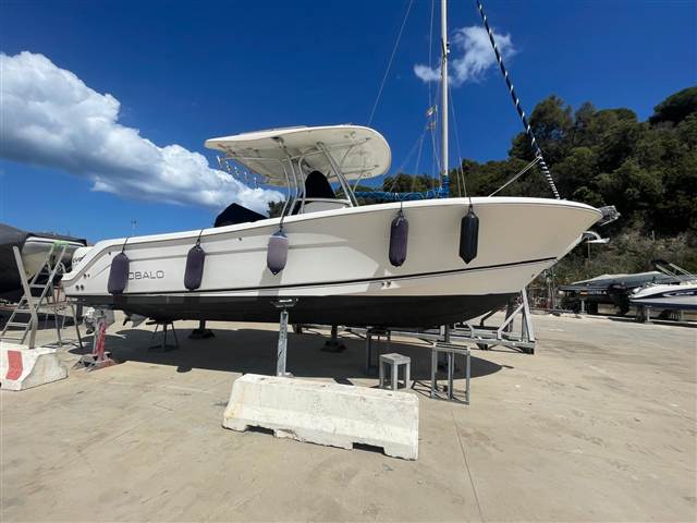 Robalo R 300 Cc