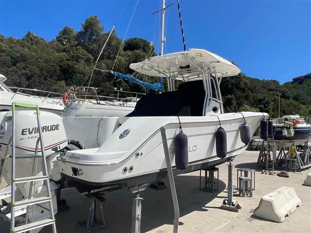 Robalo R 300 Cc