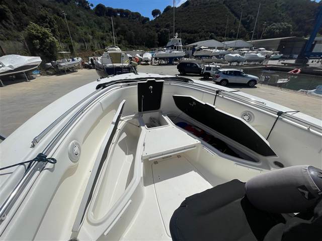 Robalo R 300 Cc